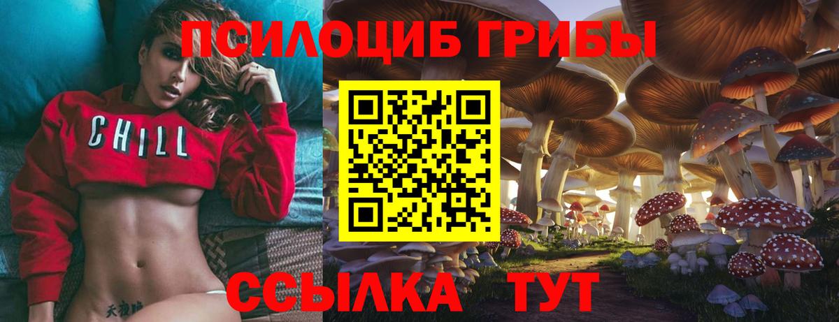 Новочебоксарск  Псилоцибиновые грибы Cubensis  Вход с VPN 